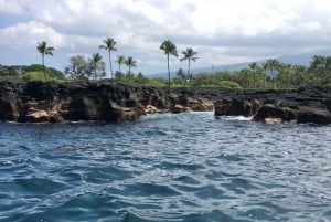 Big Island: 1-Hour Eco-Friendly Glass Bottom Reef Tour