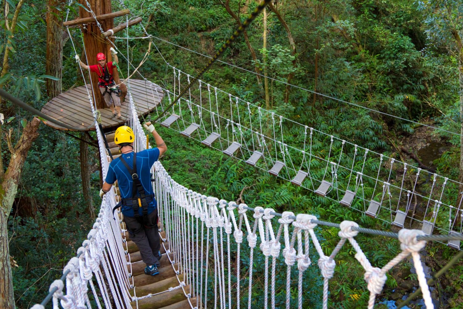 Big Island: 3-Hour Kohala Canopy Zipline Adventure in Hawaii | My Guide ...