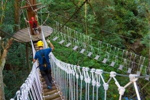 Big Island: 3-Hour Kohala Canopy Zipline Adventure