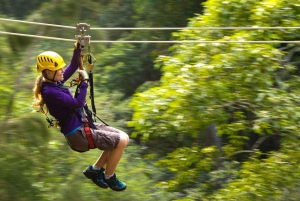 Big Island: 3-Hour Kohala Canopy Zipline Adventure