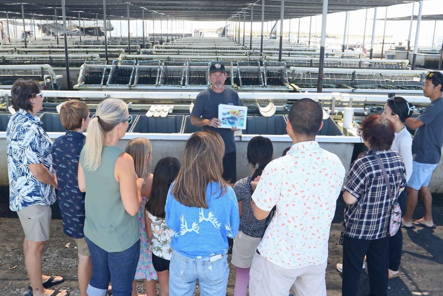 Big Island: Führung durch die Abalone Farm mit Verkostung