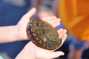 Iso saari: Island Island: Abalone Farm opastettu kierros maisteluineen.