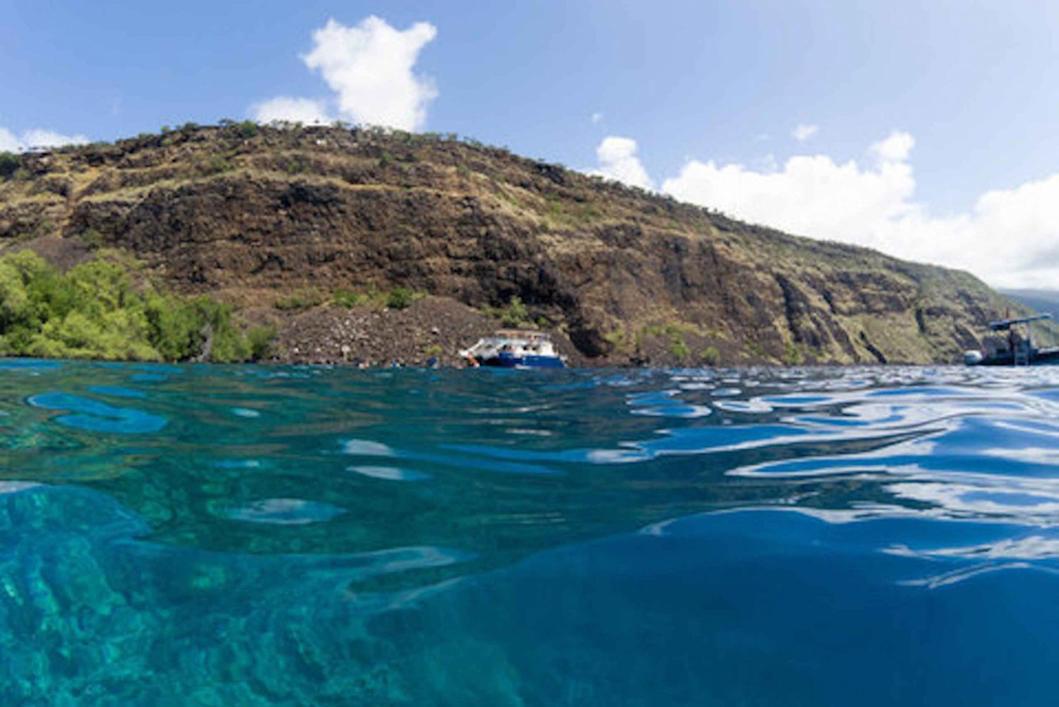 Kailua-Kona: Dagstur med Captain Cook Reef-katamaran og lunsj