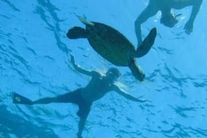 Big Island : Expédition Captain Cook Sightseeing & Snorkel