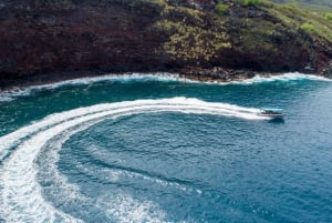 Isla Grande: Expedición turística y de snorkel Capitán Cook