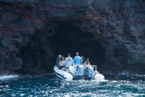 Big Island: Zwiedzanie i nurkowanie kapitana Cooka