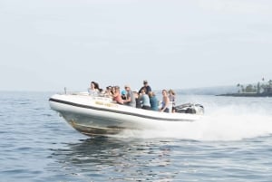 Большой остров: осмотр достопримечательностей и экспедиция по сноркелингу с капитаном Куком