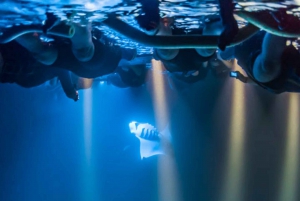 Big Island: Night Swim with Manta Ray with Hot Chocolate