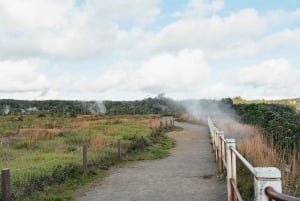 Big Island: tour de exploración de volcanes desde Hilo