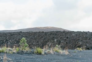 Iso saari: Ilta Volcano Explorer Hilosta