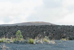 Big Island: Vulkanutforskning om kvelden fra Hilo