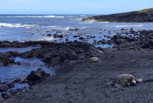 Isola Grande: Esploratore serale del vulcano da Kona o Kohala