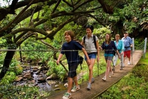 Big Island: Full Day Adventure Tour of the Kohala Waterfalls