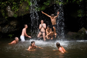 Big Island: Full Day Adventure Tour of the Kohala Waterfalls