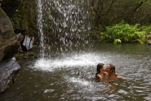 Big Island: Full Day Adventure through Kohala Waterfalls