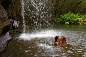 Big Island: Full Day Adventure Tour of the Kohala Waterfalls
