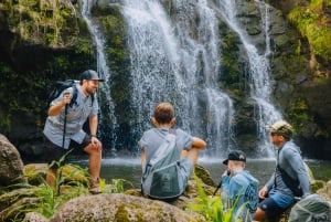 Big Island: Full Day Adventure Tour of the Kohala Waterfalls