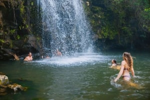 Big Island: Full Day Adventure Tour of the Kohala Waterfalls