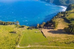 Big Island: Full Day Adventure Tour of the Kohala Waterfalls