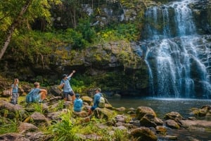 Big Island: Full Day Adventure Tour of the Kohala Waterfalls