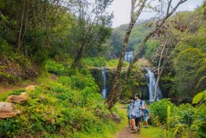 Big Island: Full Day Adventure Tour of the Kohala Waterfalls