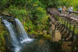 Big Island: Full Day Adventure Tour of the Kohala Waterfalls