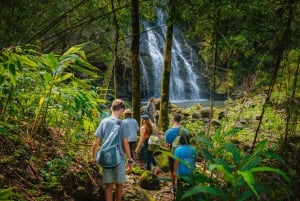 Big Island: Full Day Adventure Tour of the Kohala Waterfalls
