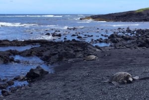 الجزيرة الكبيرة: جولة يوم كامل على الجزيرة الدائرية من كونا