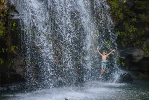 Big Island: aventure d'une journée en tyrolienne et en cascade à Kohala