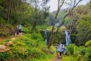 Big Island: Full-Day Kohala Zipline and Waterfall Adventure