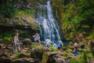 Big Island: Full-Day Kohala Zipline and Waterfall Adventure