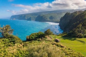 Big Island: Full-Day Kohala Zipline and Waterfall Adventure