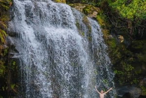 Big Island: Full-Day Kohala Zipline and Waterfall Adventure