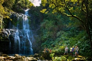 Big Island: Full-Day Kohala Zipline and Waterfall Adventure