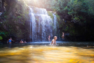 Big Island: Full-Day Kohala Zipline and Waterfall Adventure