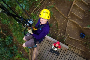 Big Island: Full-Day Kohala Zipline and Waterfall Adventure