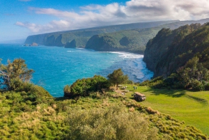 Big Island: Full-Day Kohala Zipline and Waterfall Adventure