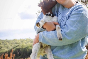 Big Island: Mata och gosa med babygetter