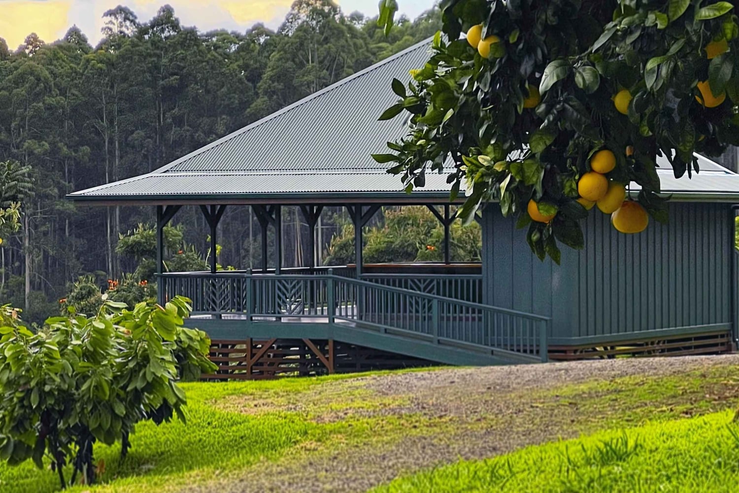 Big Island Hawaii : Dégustation de chocolat artisanal et visite de la ferme