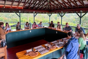 Big Island Hawaii: Smaking av håndverkssjokolade og omvisning på gård