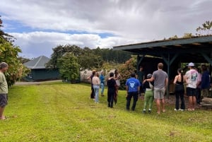 Big Island Hawaii: Chokladprovning och rundtur på bondgård