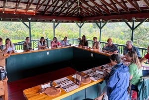 Big Island Hawaii : Dégustation de chocolat artisanal et visite de la ferme