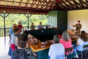 Big Island Hawaii : Dégustation de chocolat artisanal et visite de la ferme
