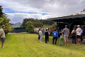 Big Island Hawaii : Dégustation de chocolat artisanal et visite de la ferme