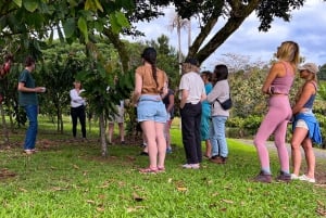 Big Island Hawaii : Dégustation de chocolat artisanal et visite de la ferme