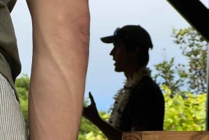 Big Island Hawaii : Dégustation de chocolat artisanal et visite de la ferme