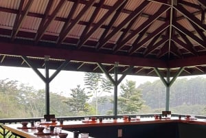 Big Island Hawaii : Dégustation de chocolat artisanal et visite de la ferme