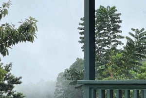 Big Island Hawaii : Dégustation de chocolat artisanal et visite de la ferme