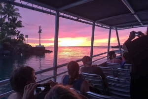 Big Island, Hawaii: Night Manta Ray Snorkel Experience