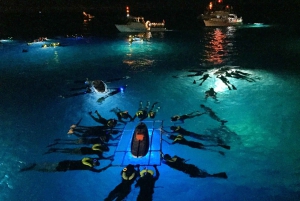 Big Island, Night Manta Ray Snorkel Experience